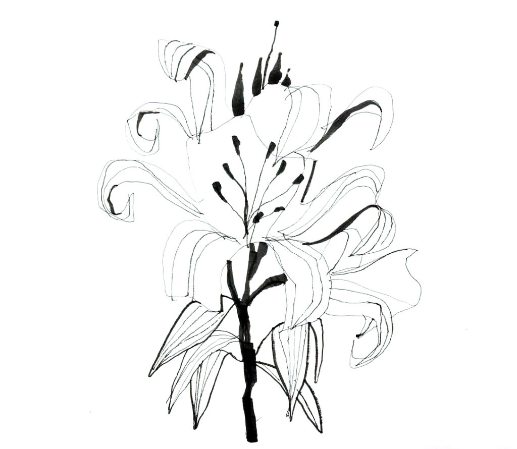 Ian Fennelly – urban sketch artist and course founder