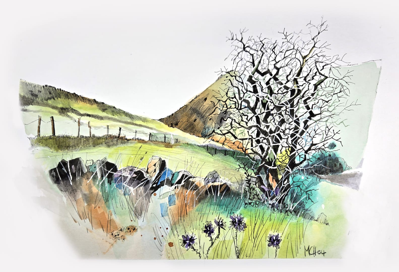 Nette C Snowdonia
