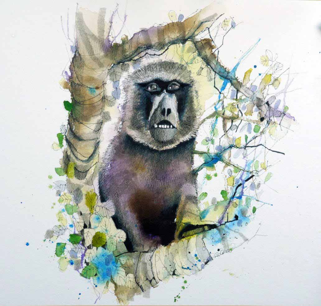 Learn To Sketch Baboon, Safari Sketching Course