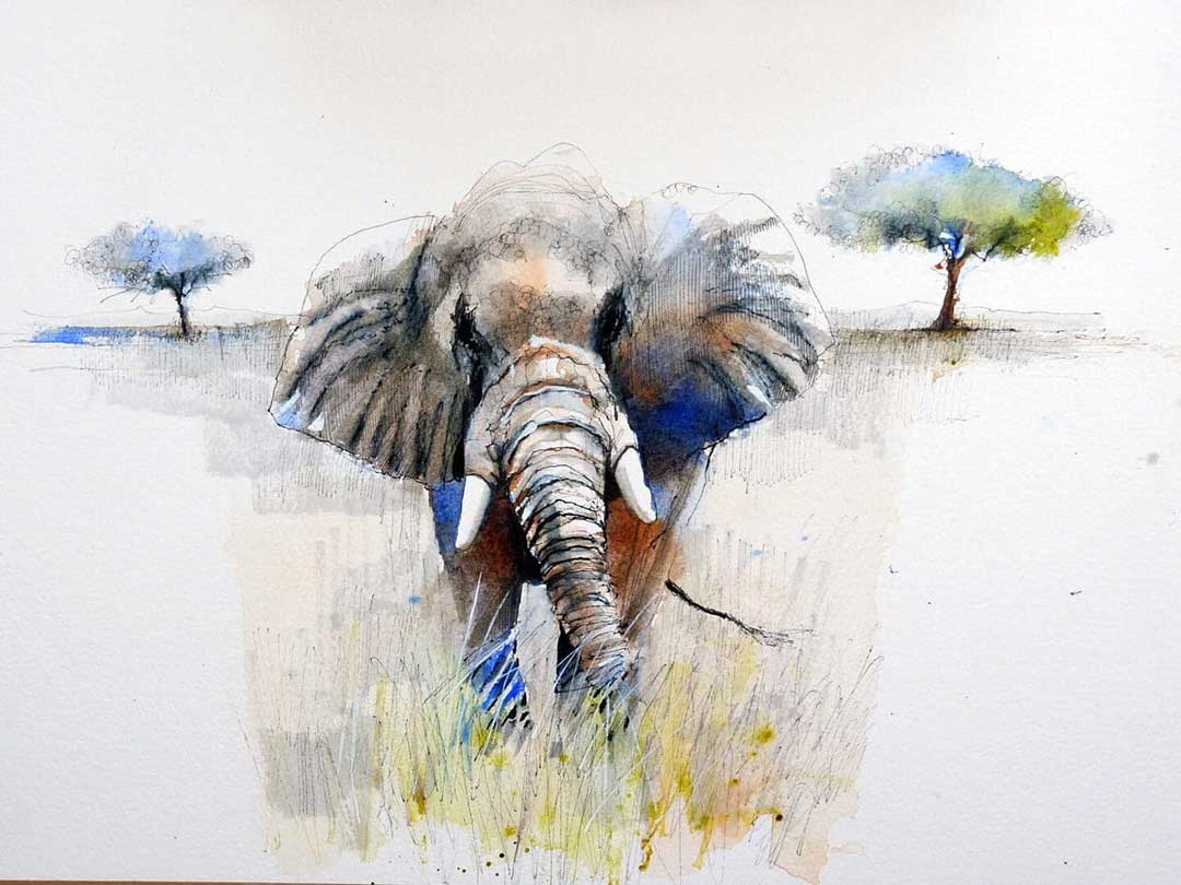 Learn To Sketch Elephants, Safari Sketching Course