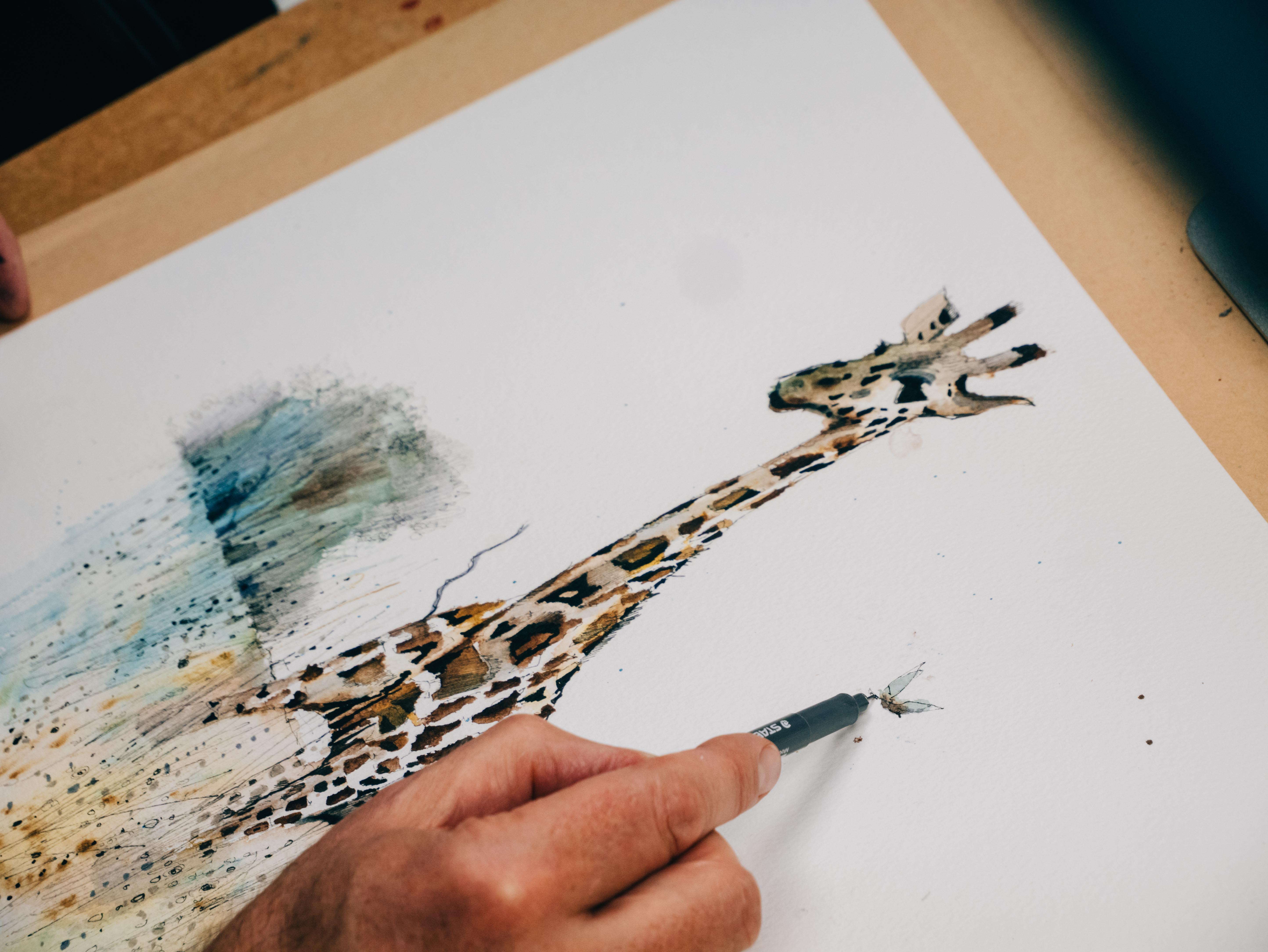 Sketching Animals in Context: How Safari Sketch Differs from Urban Zoo