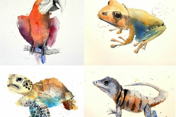 Urban Sketching Animals - Ian Fennelly